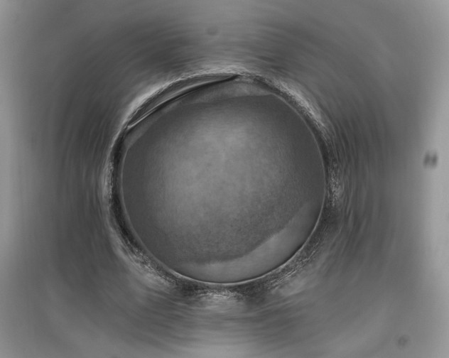 X0000097830583200803141147
