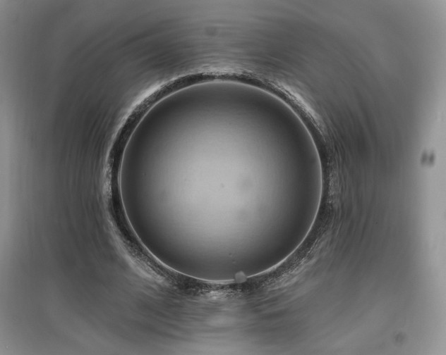 X0000097830584200803141147