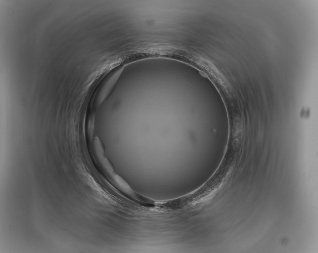 X0000097830585200803141147