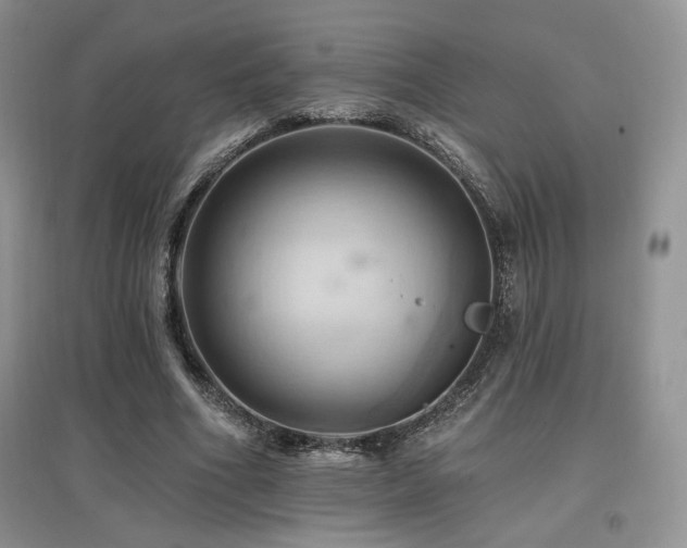 X0000097830586200803141147