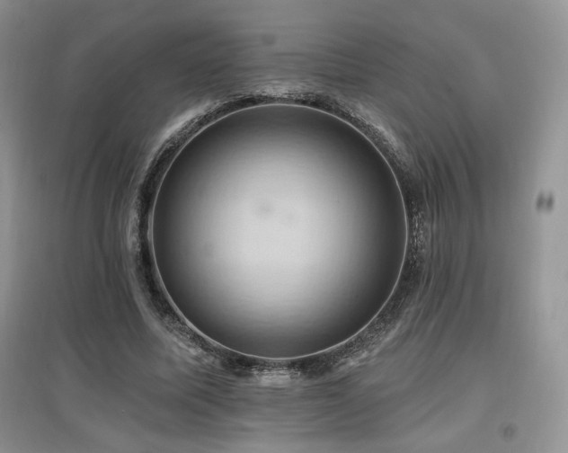 X0000097830587200803141147