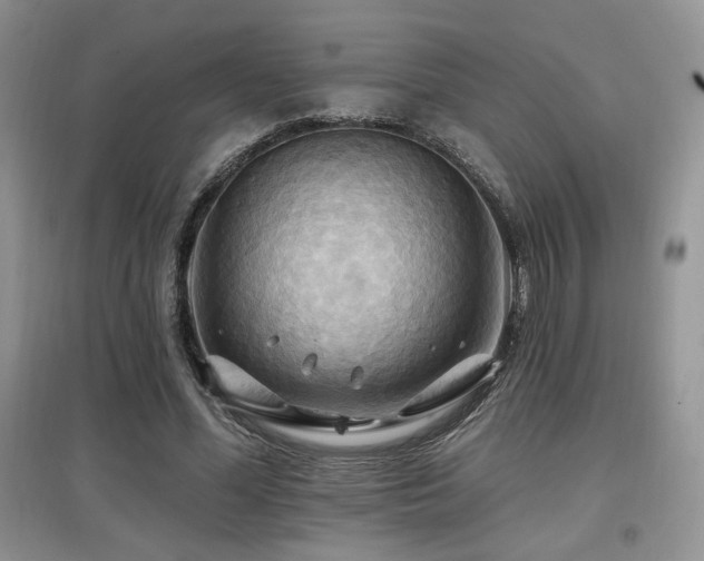 X0000097830588200803141147