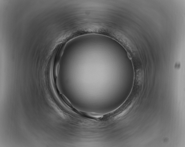 X0000097830589200803141147