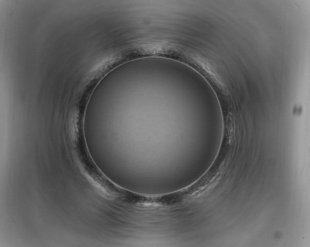 X0000097830590200803141147