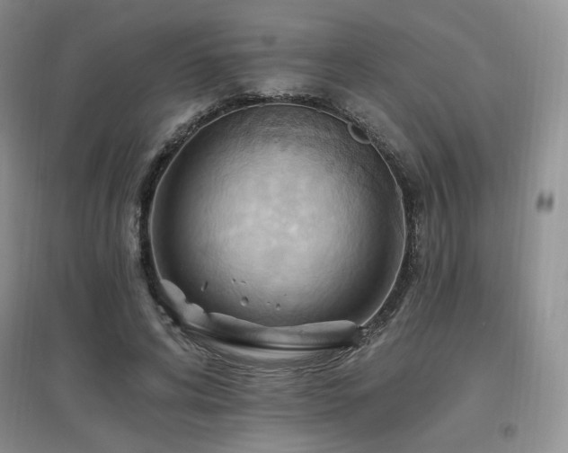 X0000097830592200803141147