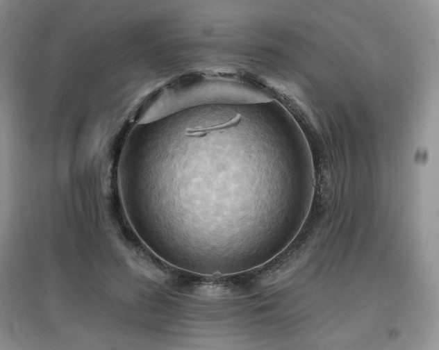 X0000097830596200803141147