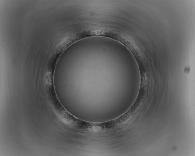 X0000097830598200803141147