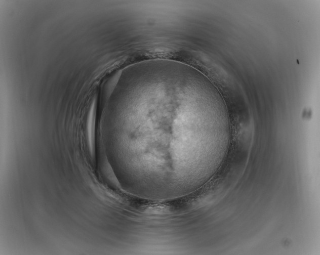 X0000097830599200803141147