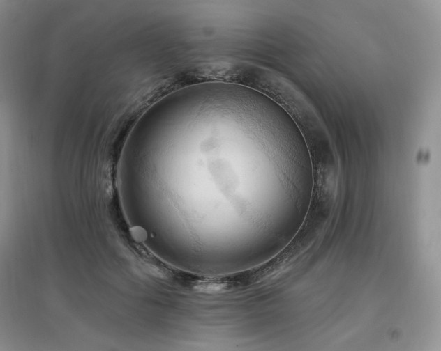 X0000097830602200803141147