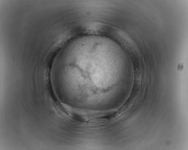 X0000097830603200803141147