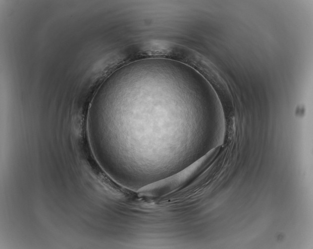 X0000097830604200803141147