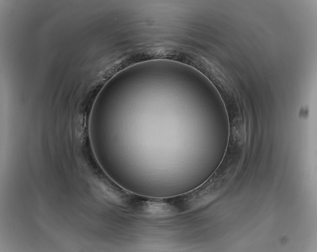 X0000097830605200803141147