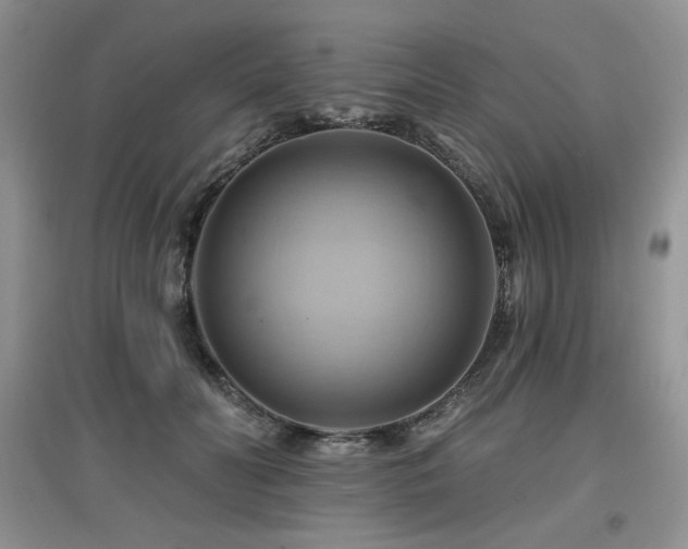 X0000097830606200803141147