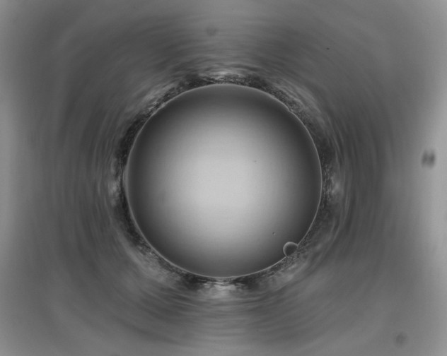 X0000097830607200803141147