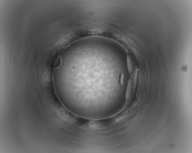 X0000097830608200803141147