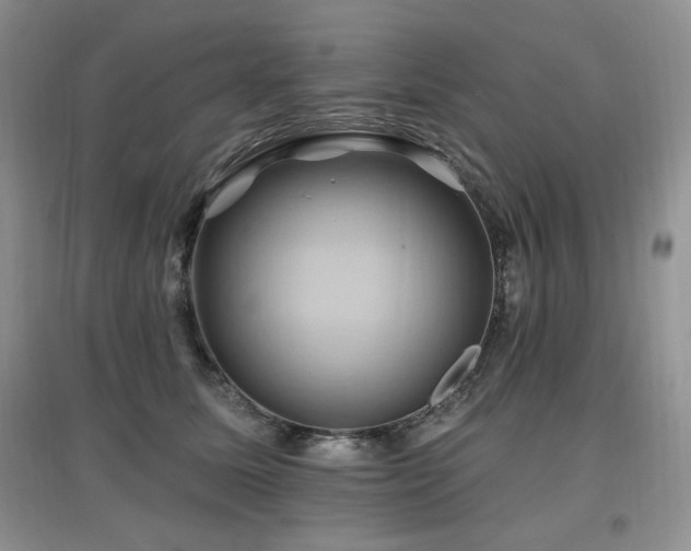 X0000097830611200803141147