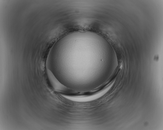 X0000097830613200803141147