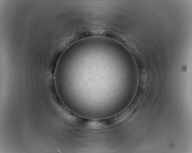 X0000097830614200803141146
