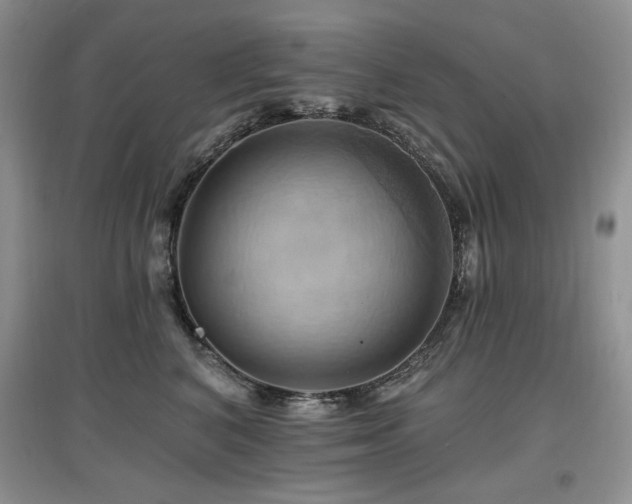 X0000097830616200803141146