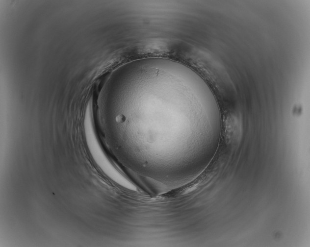 X0000097830617200803141146