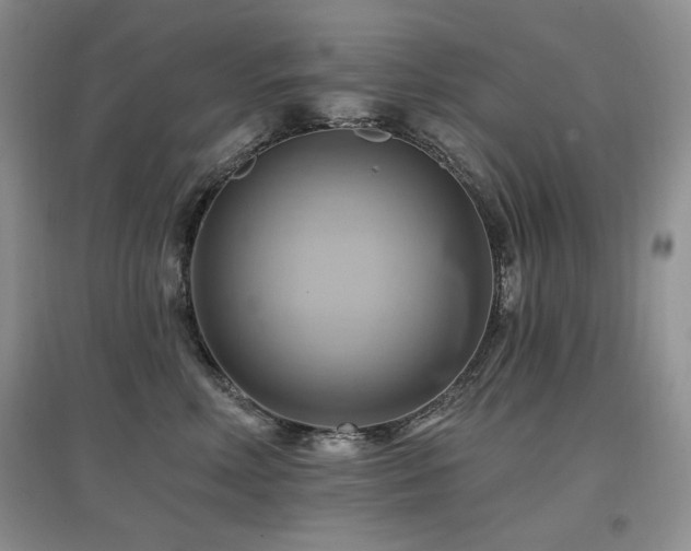 X0000097830618200803141146