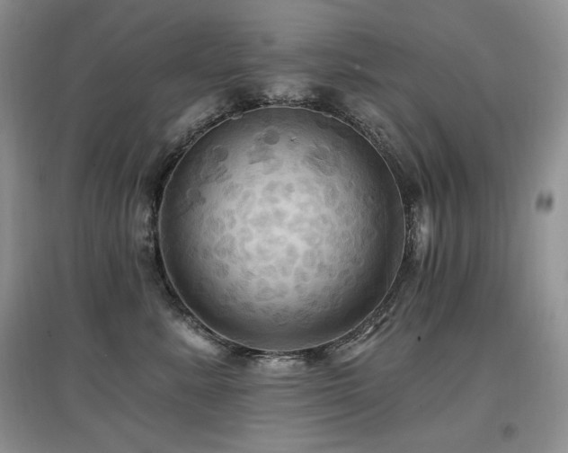 X0000097830619200803141146