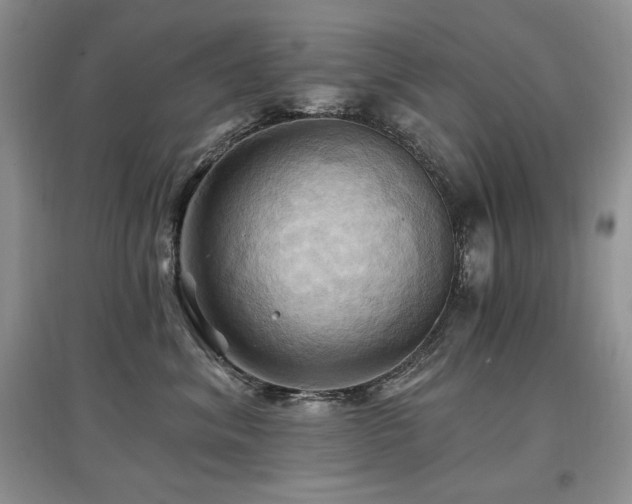 X0000097830620200803141146