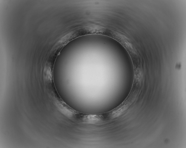 X0000097830622200803141146