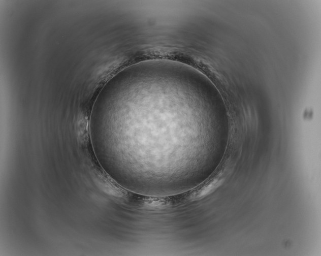 X0000097830624200803141146