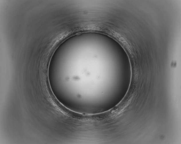 X0000097830625200803141146