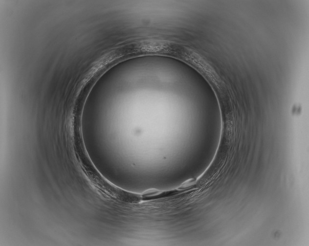 X0000097830626200803141146
