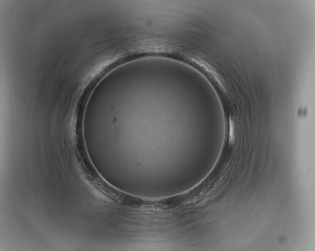 X0000097830627200803141146
