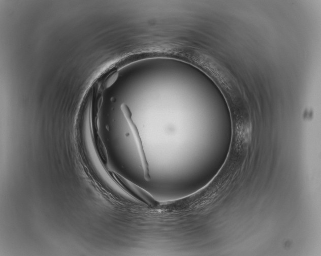X0000097830628200803141146