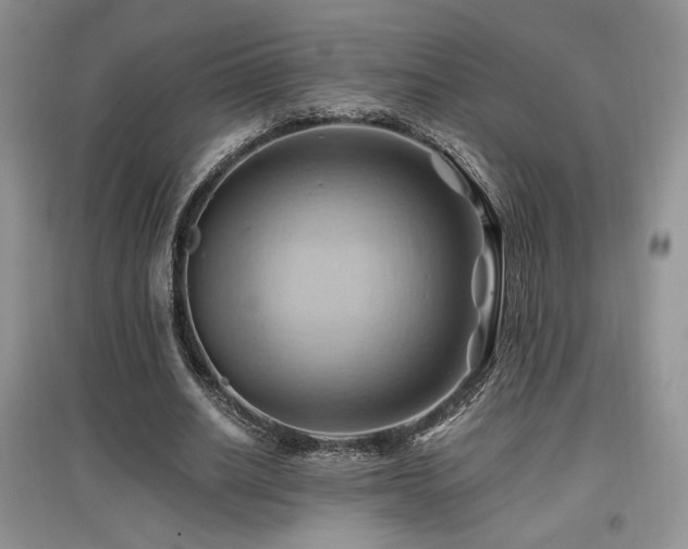 X0000097830630200803141146
