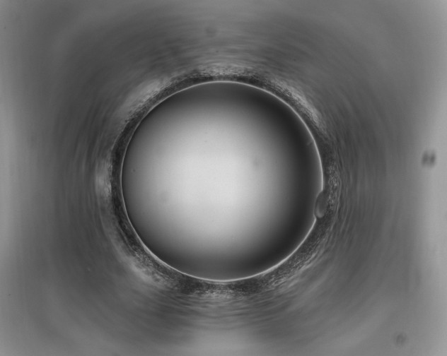 X0000097830631200803141146