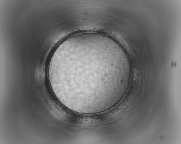 X0000097830632200803141146