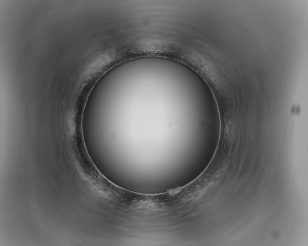 X0000097830635200803141146