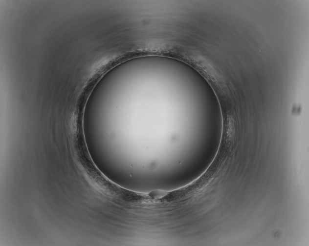 X0000097830636200803141146