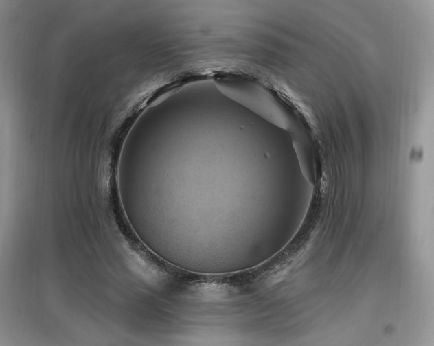 X0000097830637200803141146