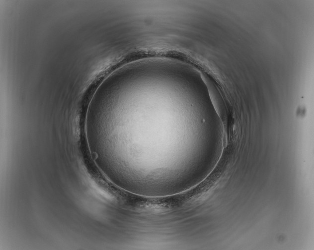 X0000097830638200803141146