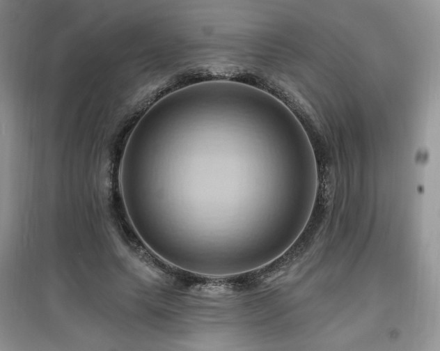 X0000097830639200803141146