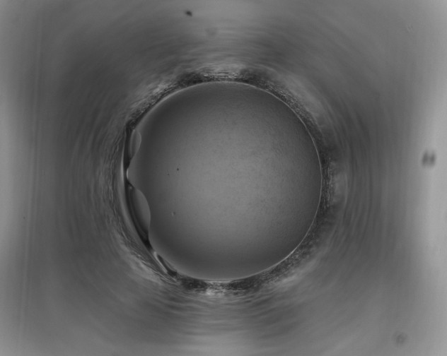 X0000097830641200803141146
