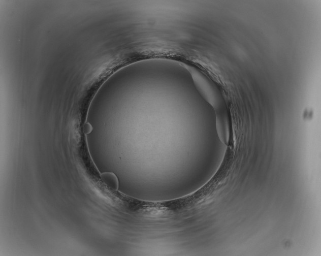 X0000097830642200803141146