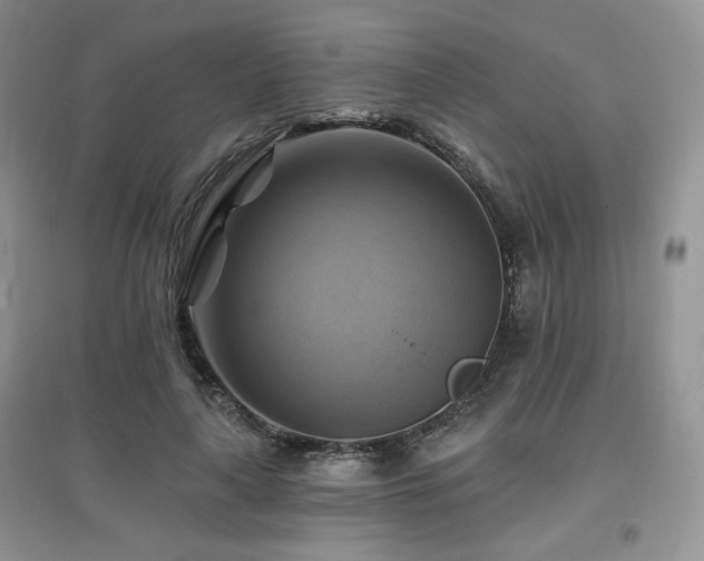 X0000097830643200803141146