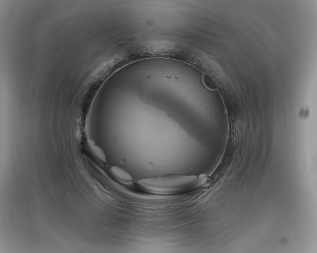 X0000097830644200803141146