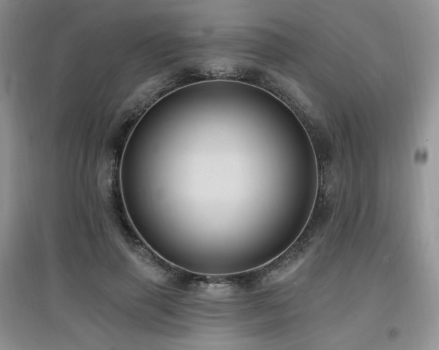 X0000097830645200803141146