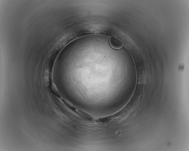 X0000097830646200803141146