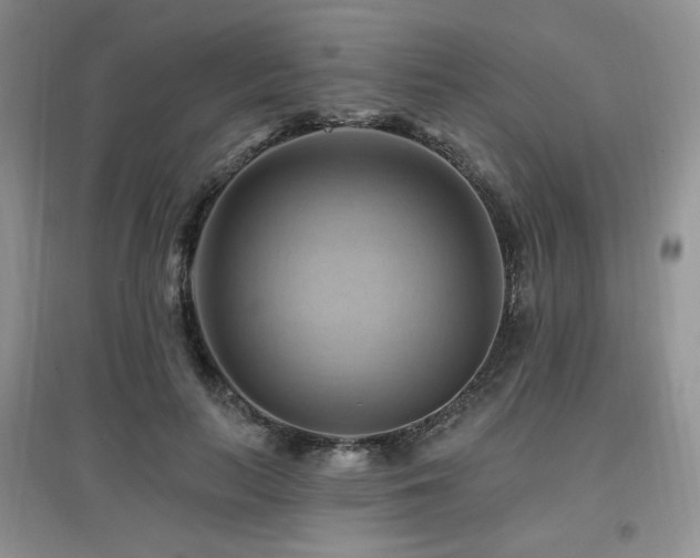 X0000097830647200803141146