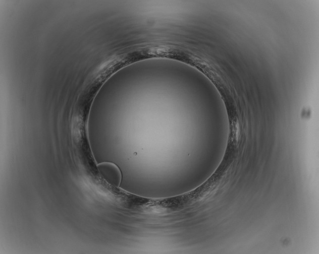 X0000097830648200803141146
