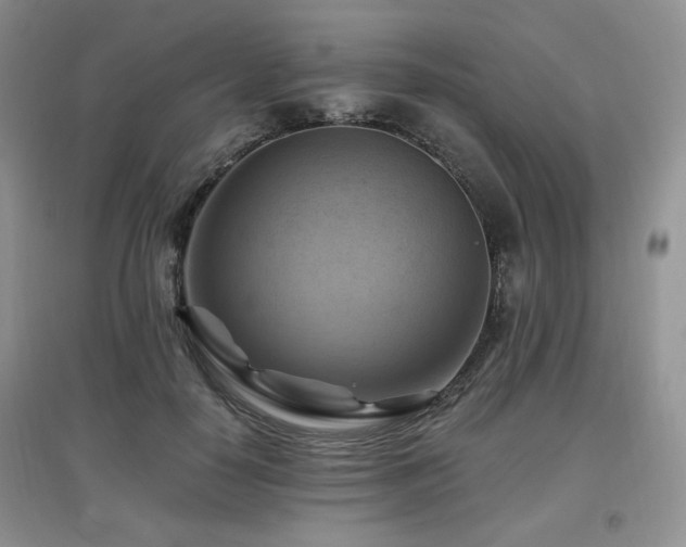 X0000097830650200803141146